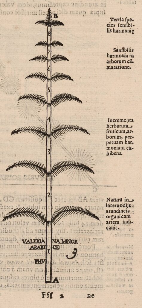 Kircher, Musurgia universalis, 1650, 406.