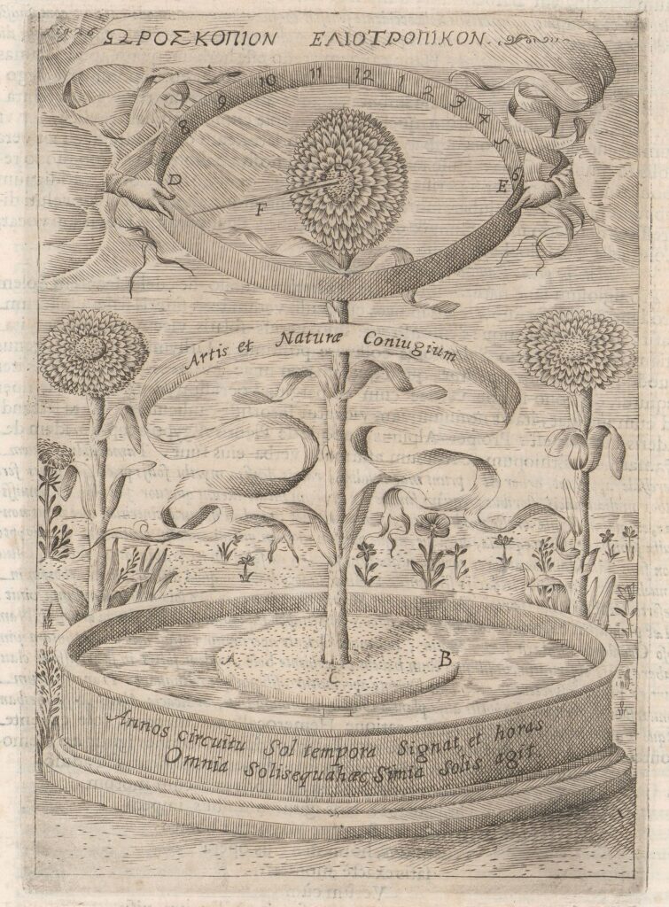 Kircher, Magnes, 1654, 508